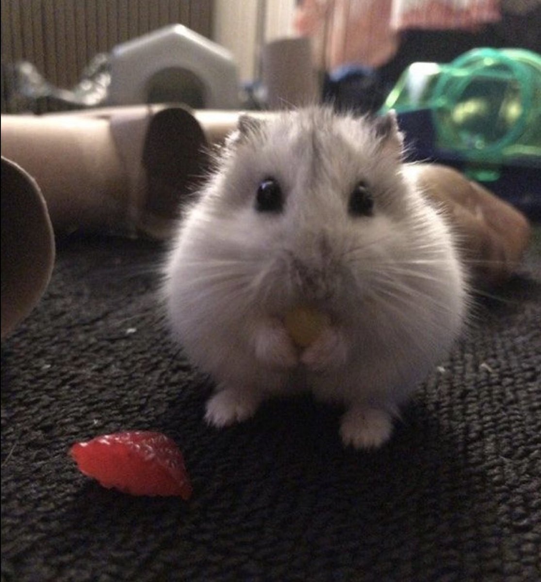 also sorry if i worded any of that incorrectly im panicking too lol