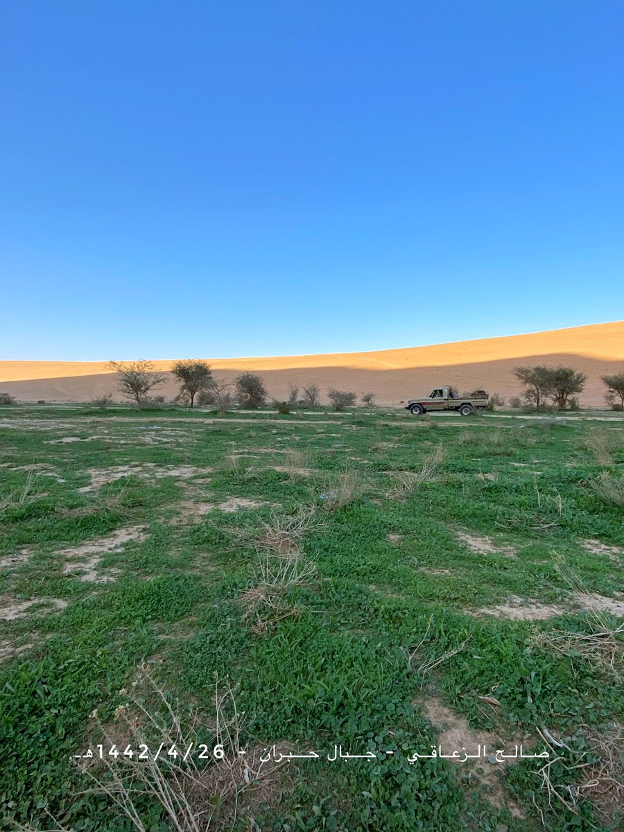 alzaaqi22's tweet photo. ماشاء الله تبارك الله ☘️
بوادر ربيع غرب حايل بجبال حبران 📍
الجمعة 1442/4/26هـ 
الربيع على اوله عسى الله يتبعله يارب ⛈ https://t.co/vd1ak3gdS8