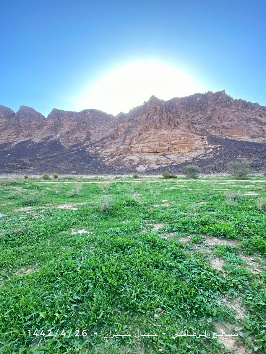 alzaaqi22's tweet photo. ماشاء الله تبارك الله ☘️
بوادر ربيع غرب حايل بجبال حبران 📍
الجمعة 1442/4/26هـ 
الربيع على اوله عسى الله يتبعله يارب ⛈ https://t.co/vd1ak3gdS8