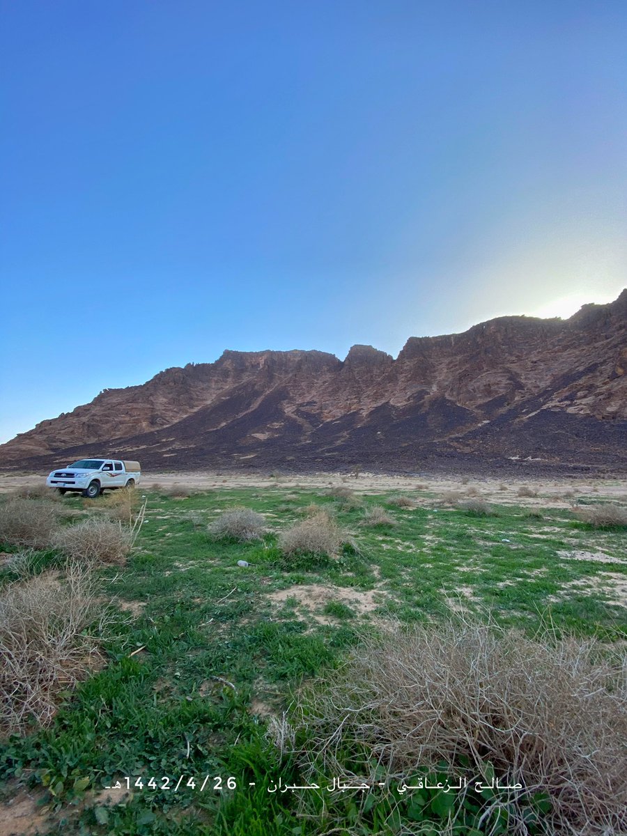 alzaaqi22's tweet photo. ماشاء الله تبارك الله ☘️
بوادر ربيع غرب حايل بجبال حبران 📍
الجمعة 1442/4/26هـ 
الربيع على اوله عسى الله يتبعله يارب ⛈ https://t.co/vd1ak3gdS8