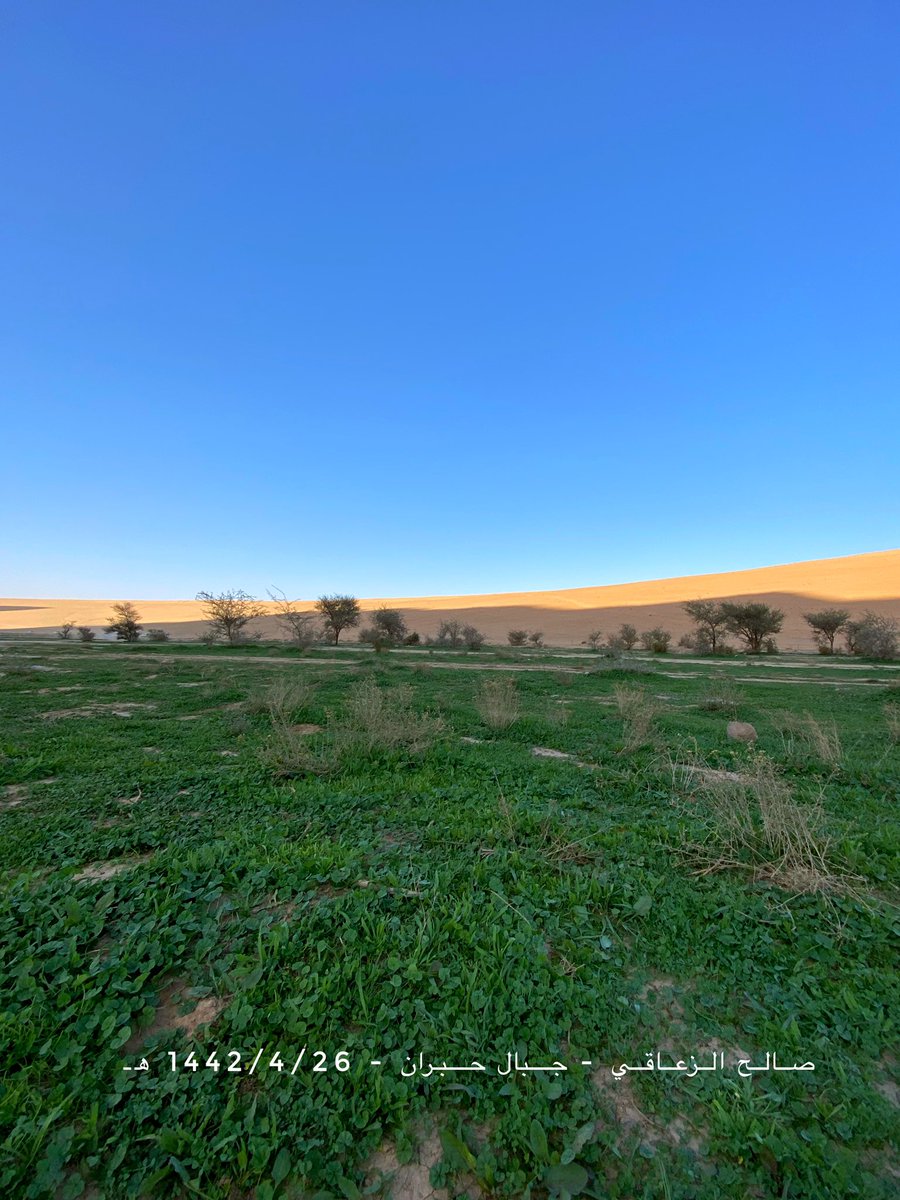 alzaaqi22's tweet photo. ماشاء الله تبارك الله ☘️
بوادر ربيع غرب حايل بجبال حبران 📍
الجمعة 1442/4/26هـ 
الربيع على اوله عسى الله يتبعله يارب ⛈ https://t.co/vd1ak3gdS8