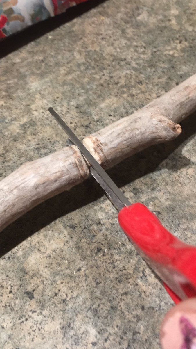 Icutastick's tweet photo. Currently cutting a stick with scissors cus my mom told me I can’t https://t.co/6i40zNDnps