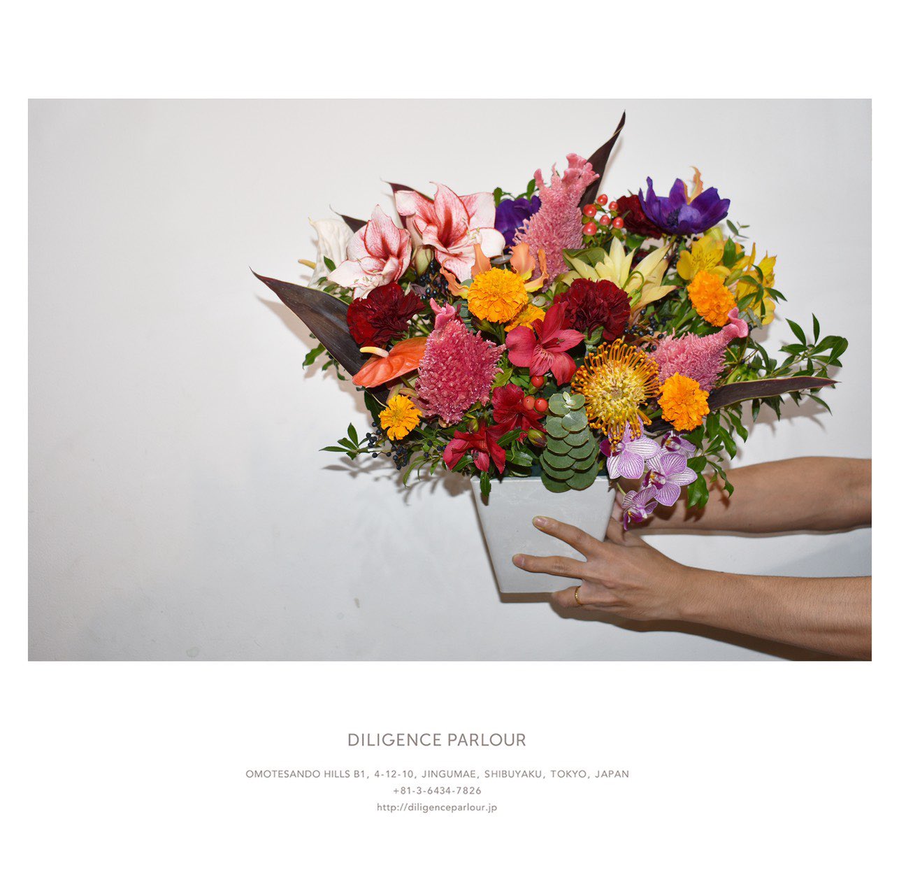 秋元梢 お花屋さんは 表参道ヒルズに入ってる Diligence Parlour です お花を身近にと言う考え方が好きで 大切な人に お花を送る時にいつもお願いしているお店 送りたい人のイメージを伝えてお願いすることが多いけど 毎回ドンピシャな 素敵な 秋元梢 お花屋さんは 表参道ヒルズに入ってる Diligence Parlour です お花を身近にと言う考え方が好きで 大切な人に お花を送る時にいつもお願いしているお店 送りたい人のイメージを伝えてお願いすることが多いけど 毎回ドンピシャな 素敵な