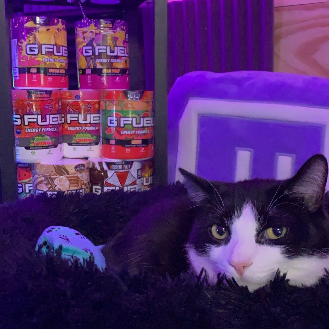 🔴 LIVE NOW POST GAME AWARDS!

Playing some <a href="/DeadByBHVR/">Dead by Daylight</a> and continuing that grind on Tome III.

Bandit also wants to remind everyone that this holiday season is a great time to restock on some <a href="/GFuelEnergy/">G FUEL®</a> using Code RYME to save 10% at checkout! ❄️

☃️ Twitch.tv/oRymeTv 🪐