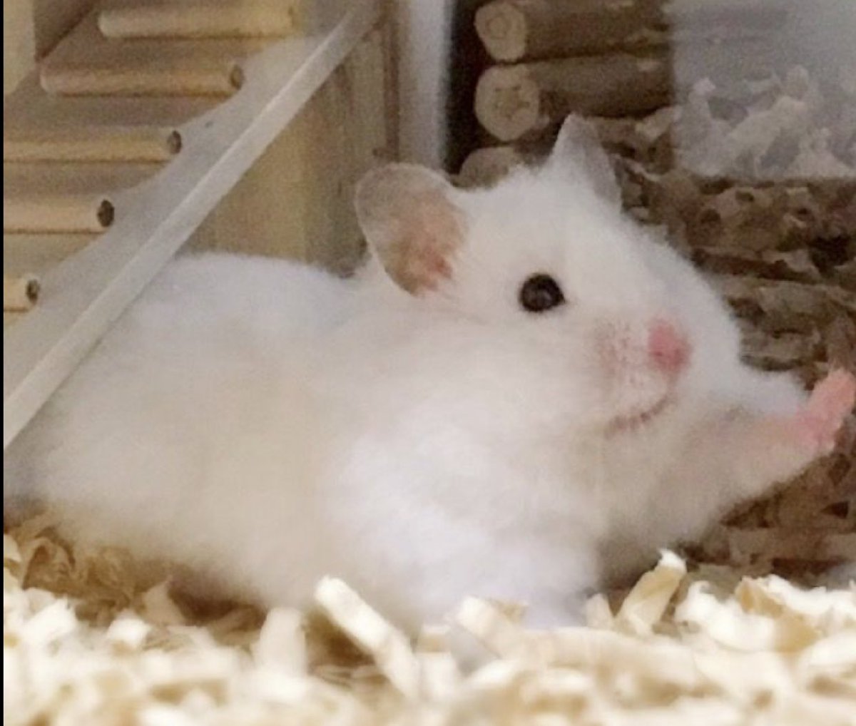 might stop soon to avoid more spam but ill keep this pinned and add onto it when necessary :]