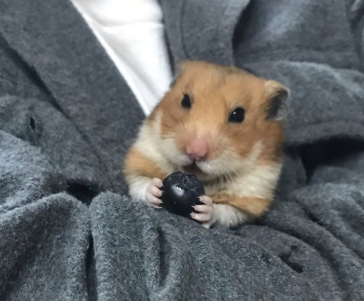 might stop soon to avoid more spam but ill keep this pinned and add onto it when necessary :]