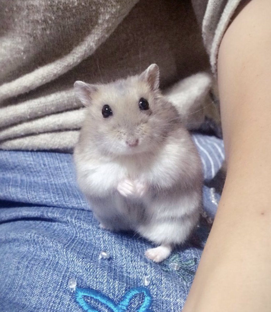 might stop soon to avoid more spam but ill keep this pinned and add onto it when necessary :]