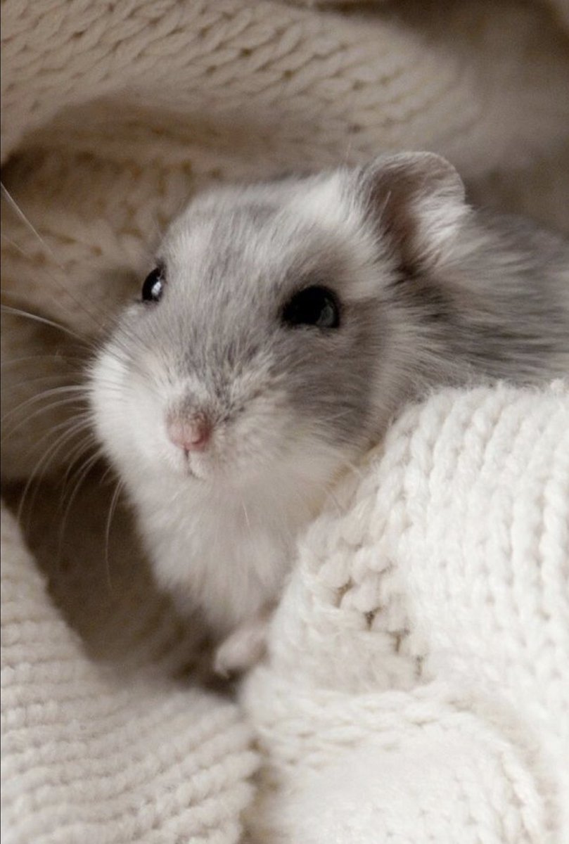 might stop soon to avoid more spam but ill keep this pinned and add onto it when necessary :]