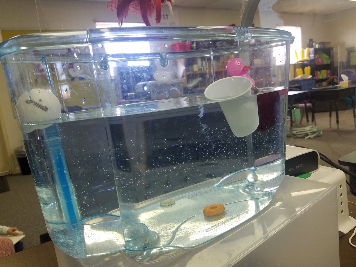 STEMrsZ's tweet photo. The kids enjoyed our sink or float lab today! #kfethirdgrade #nisdfranklines https://t.co/Miy4L79gfS