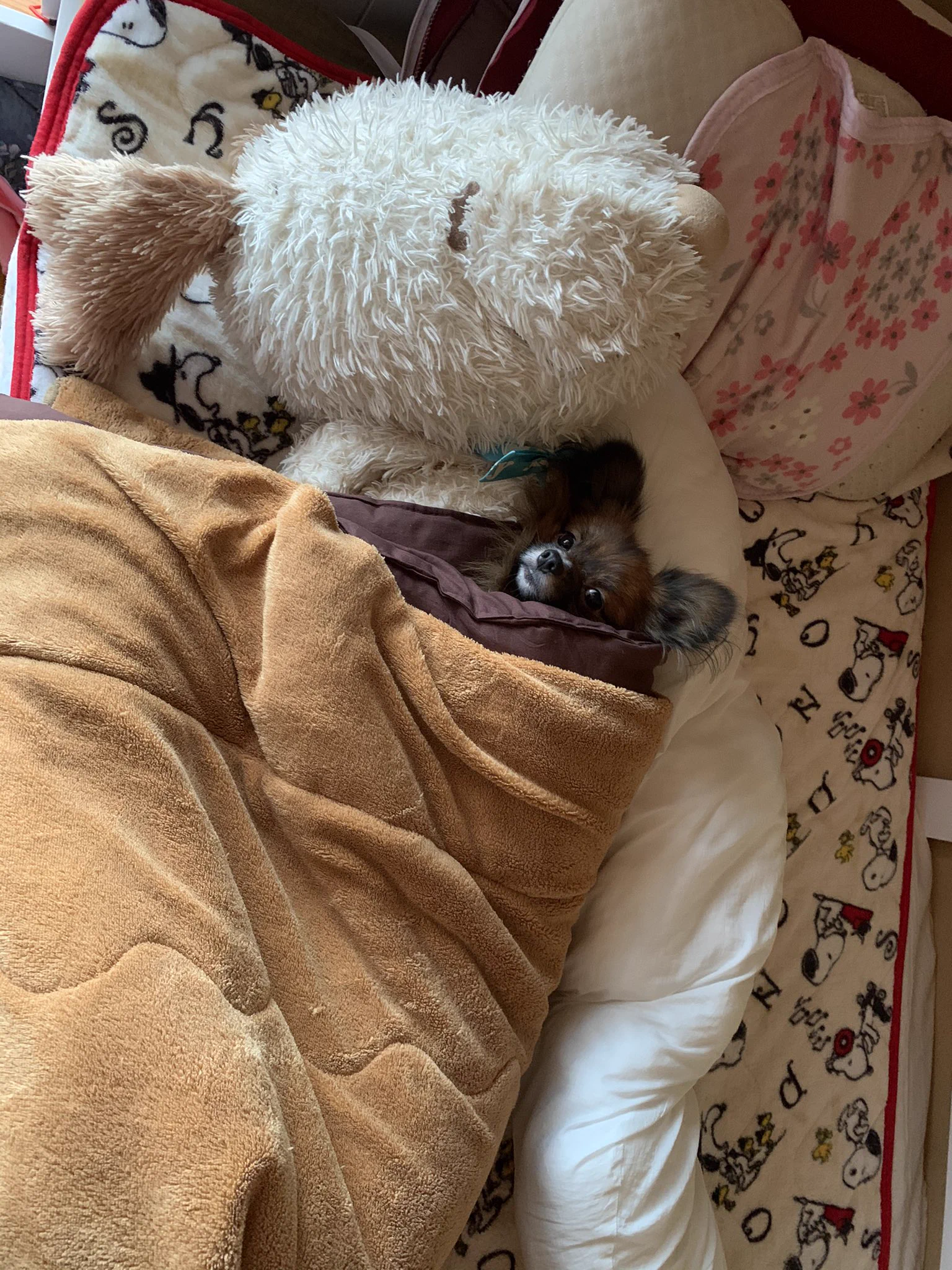 @bou128 ぶんどられました。 