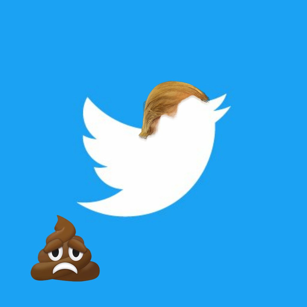 TheSWPrincess's tweet photo. Trump will be #Twooping all night thanks to #TIMEPOY https://t.co/GkVv4v1Nkc