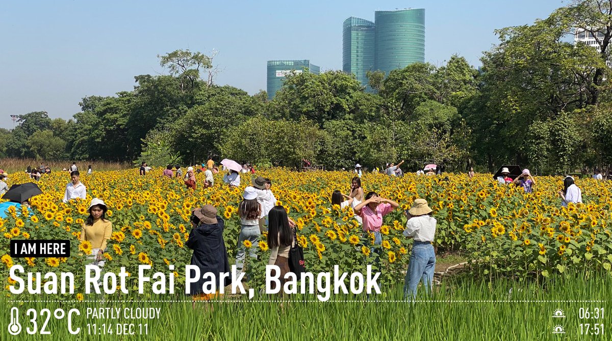 RichardBarrow's tweet photo. Good morning from the sunflower field in Suan Rot Fai Park in Chatuchak District of Bangkok  

📍MAP: https://t.co/LTuBP0EDzk #ยิ้มรับทานตะวัน #smilingsunflower #Bangkok #Thailand https://t.co/lx2GLvRavq