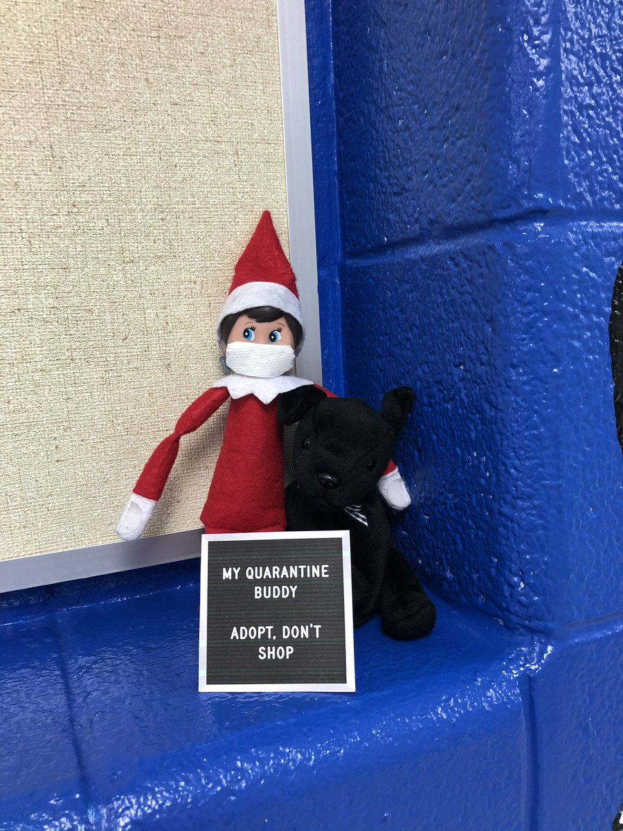 Elf tweet media