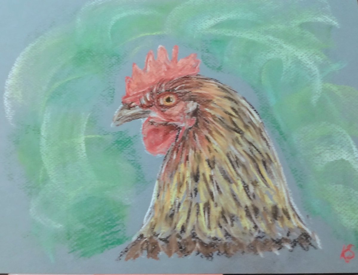 ksneathart's tweet photo. Day 10 #Birdmas #12birdsofchristmas #chickenpastel #henpastel #backyardchicken #familychicken This is from one of my photos of my best friend's chickens taken while I was chicken sitting!💖🐔 https://t.co/ZXa7oC3ABh