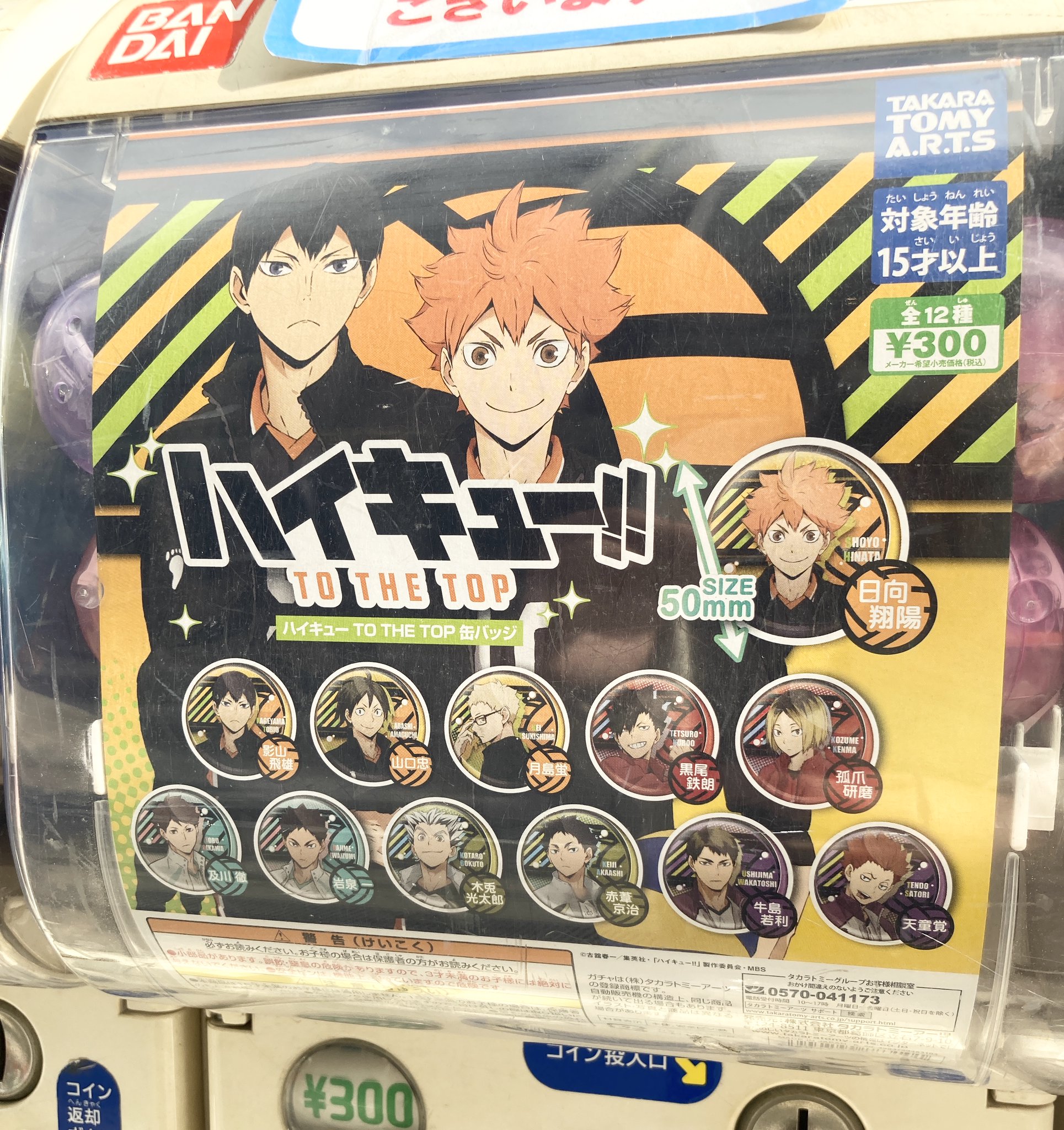 アニメイト限定 カプセル缶バッジ ハイキュー アニメイト池袋本店 on X: 