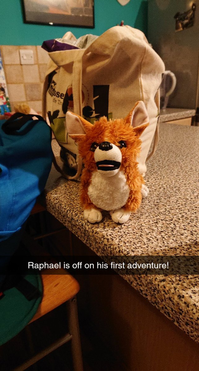 raphaelthecorgi tweet picture