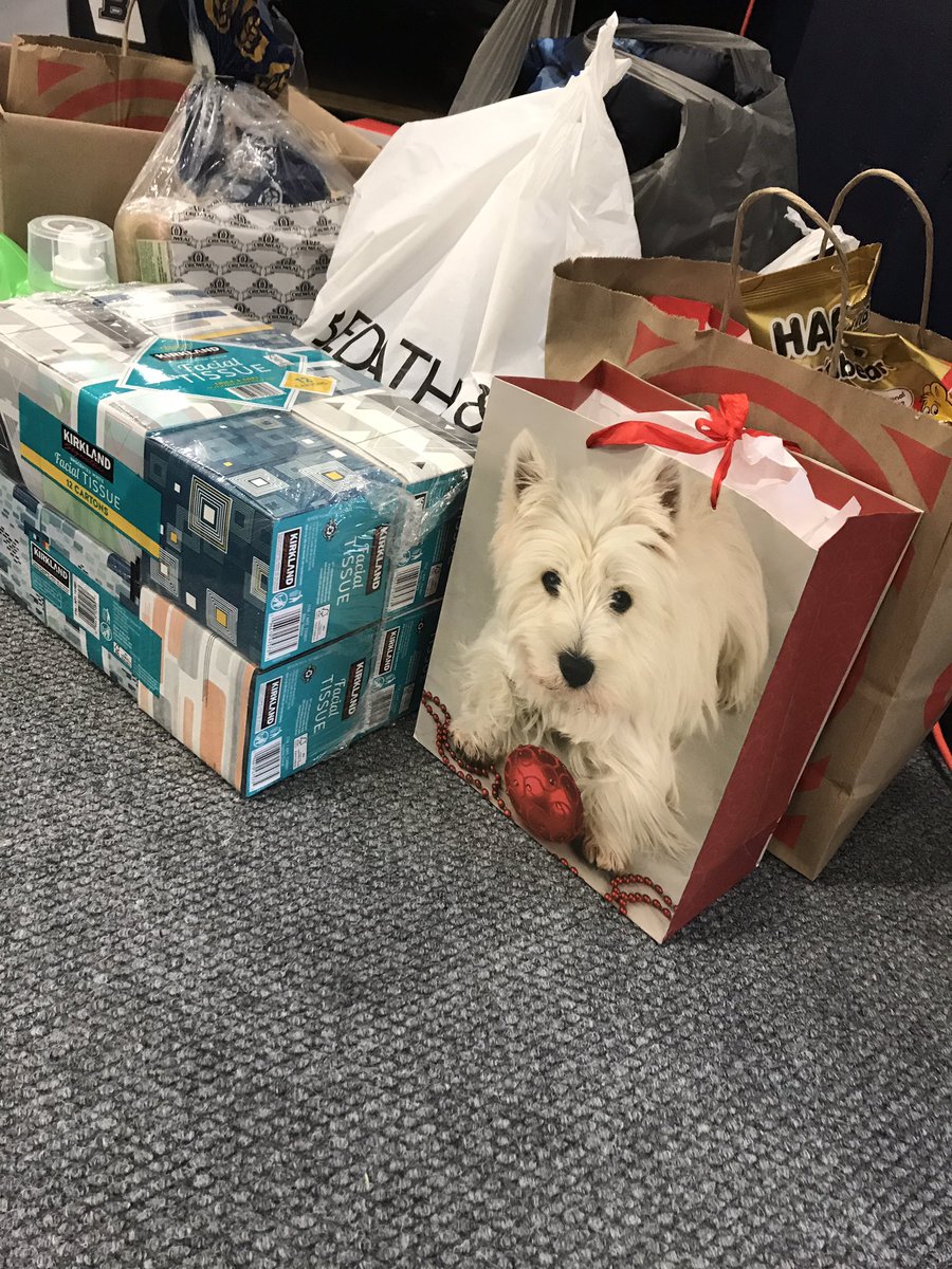 It’s time to spread some LION🎄HOLIDAY CHEER! Come on Lions... let’s show our giving spirit. @bellarmine_prep @bpsohanaclub <a href="/bpslion/">Berndt Schneider</a> @bpsbsu <a href="/bps_activities/">BPS Activities</a> #christmas #adoptafamily #giving #christmasspirit #yearbook