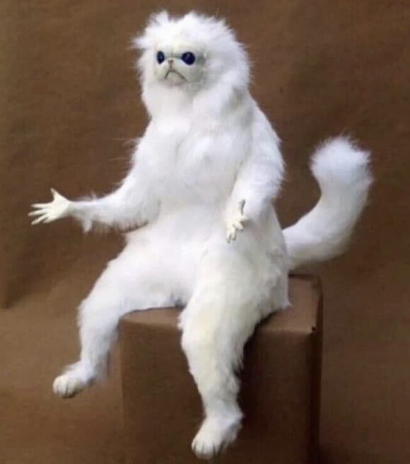 softsubyy's tweet image. daddy: *giving me attention*
me: gimme attention!! &amp;gt;:(( 
daddy: