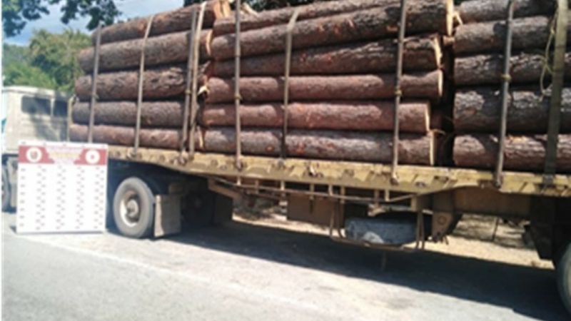 T2cia's tweet photo. GNB incautó 40 M3 de madera en rola (+Barinas) https://t.co/pS6kiYdb43  #ChavismoLealtadATodaPrueba https://t.co/jQI3wZwwVn https://t.co/5Yr1kzflas