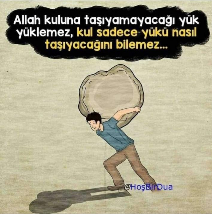 🇹🇷 Aydın Altuntaş 🟢 🇹🇷 (@reisbaba55) on Twitter photo 