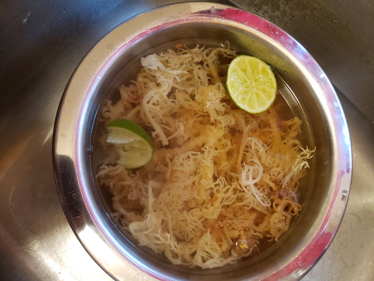 kbspicellc's tweet photo. How do you prepare your sea moss gel? #kbspice #seamoss https://t.co/l27Zh9eJ8x