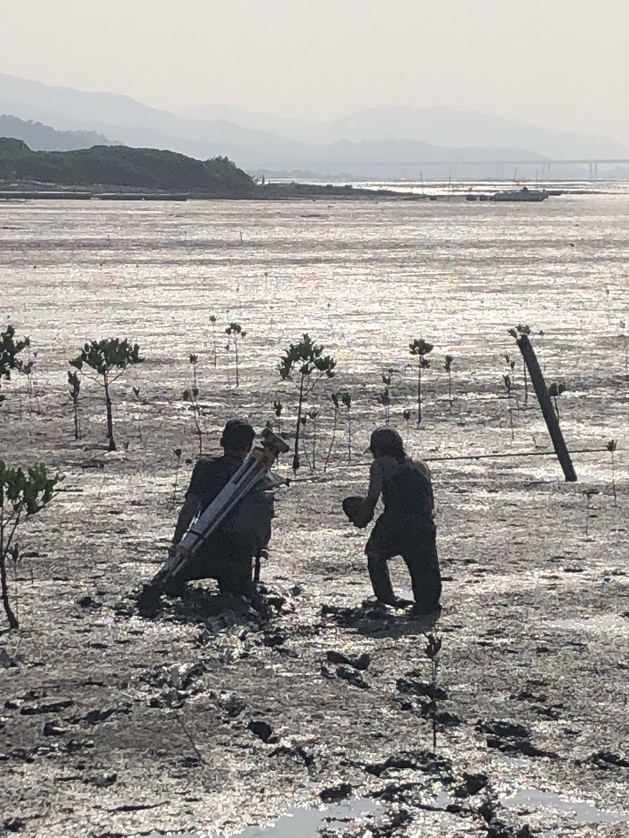 SeaLevelHK's tweet photo. Surface sampling on mud flat. 
#SeaLevelHK  #SeaLevelChange https://t.co/QkIIullfSe