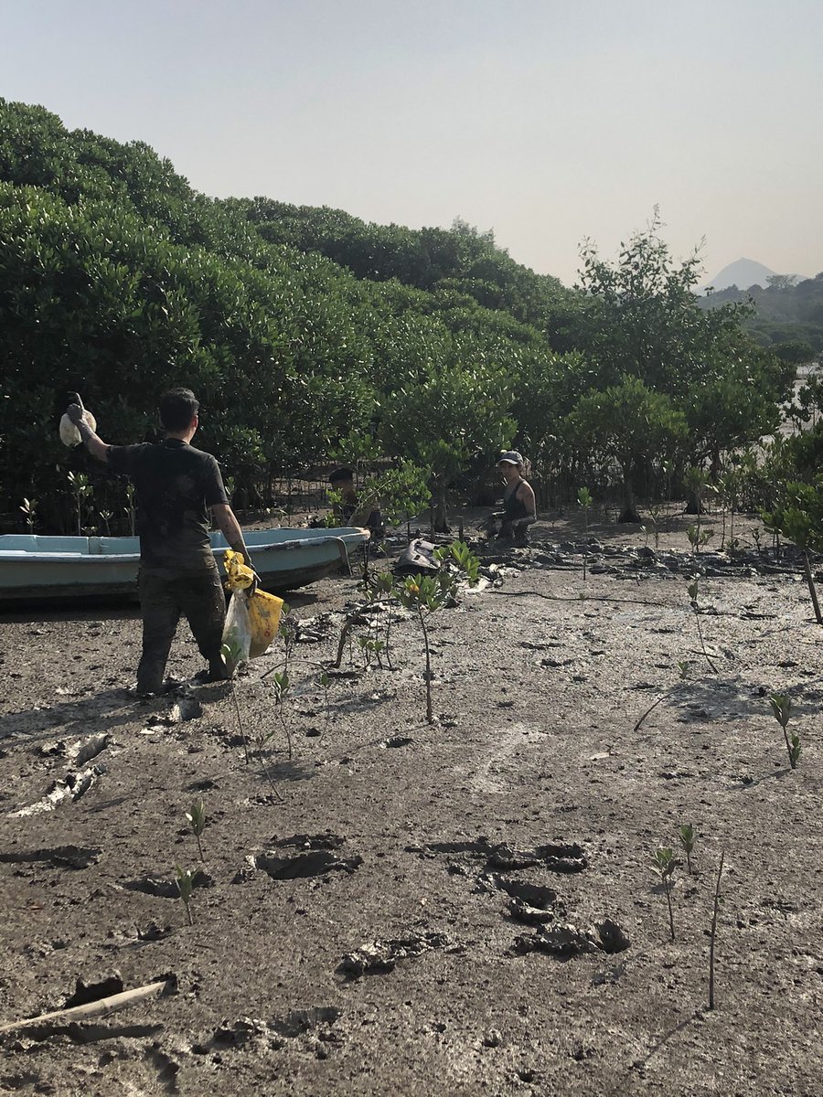 SeaLevelHK's tweet photo. Surface sampling on mud flat. 
#SeaLevelHK  #SeaLevelChange https://t.co/QkIIullfSe
