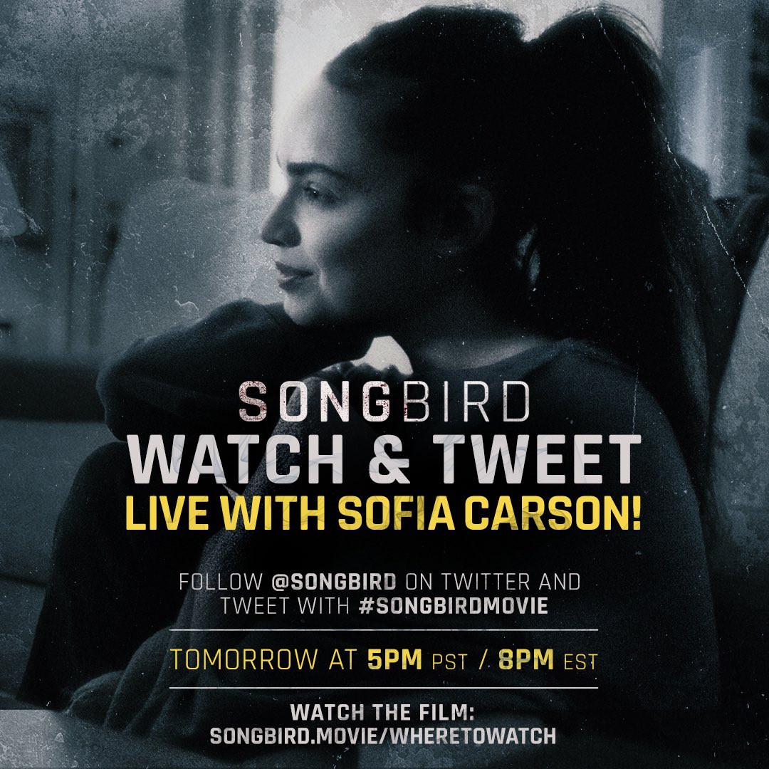 CATWOMAN: HUNTED DOWNLOAD FILMYZILLA COM