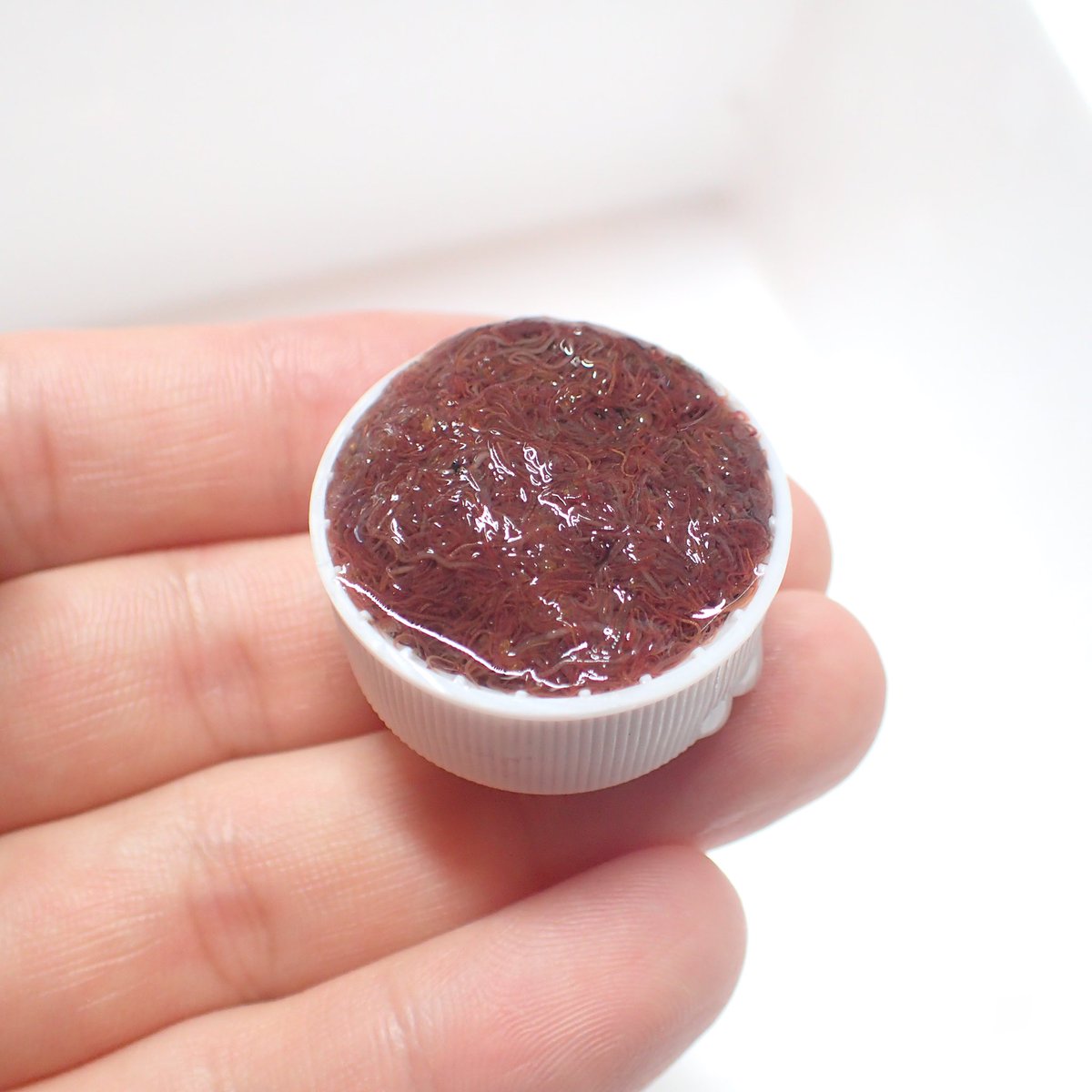 Aquarium Kind 今週もイトメたっぷり入荷しております 活餌を好む魚はもちろん ブリードしたい魚の体力作りにももってこいです 今年もシリケンイモリさんの卵を取る予定なので その子達も栄養強化月間でイトメ食べてさせております その他人気の