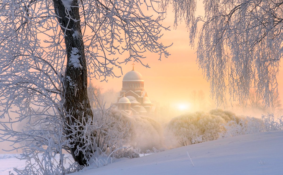 iv_boks's tweet photo. As long as a person feels pain, he is alive. While a person feels someone else's pain, he is a person ...
       FRANCOIS Guizot.

frosty morning in Murinsky park .... 
📸 Eduard Gordeev 
#quotes #SaintPetersburg #landscapesRussia https://t.co/BF6xiONXy4