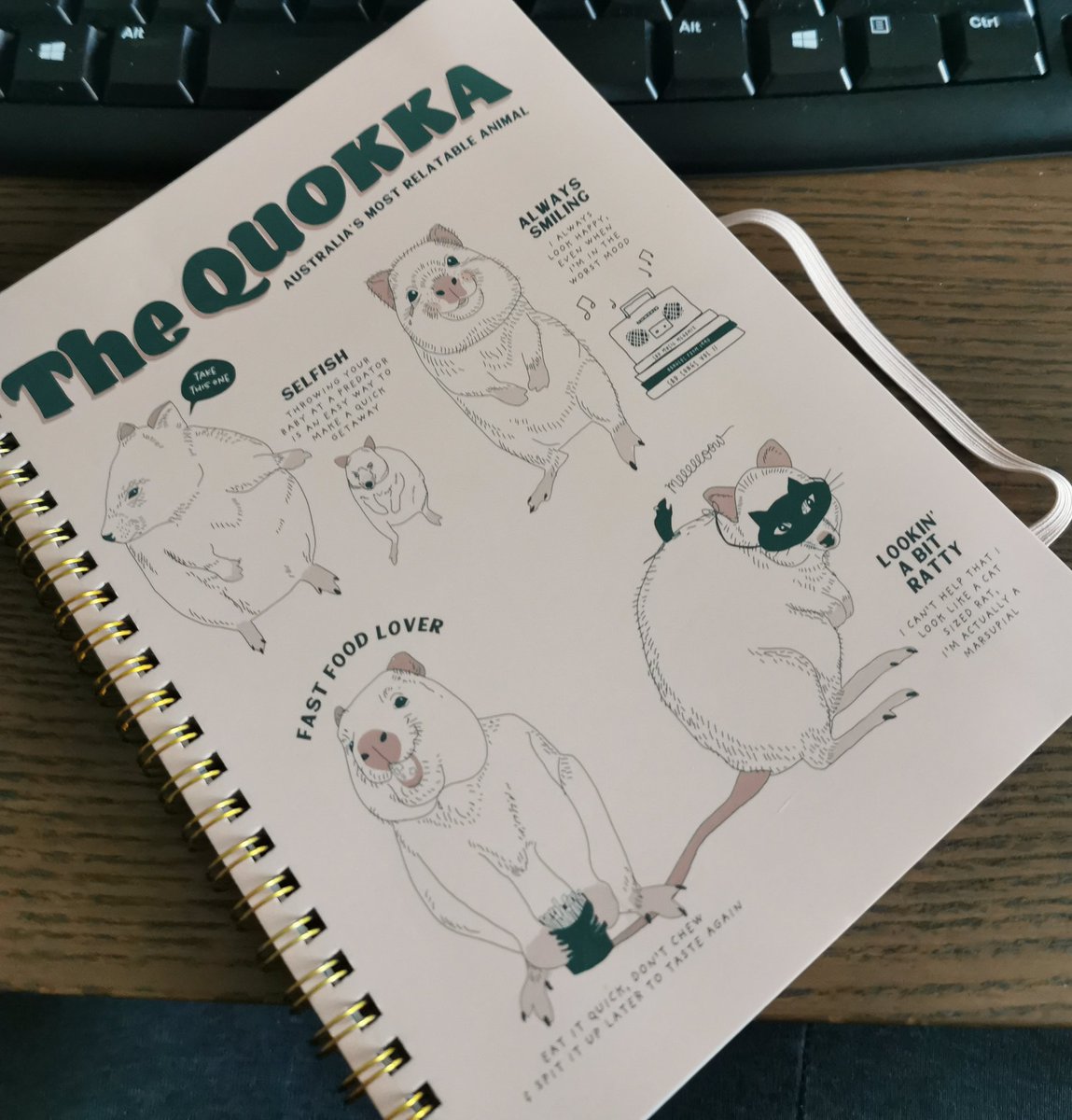 defkalionk's tweet photo. So after @ianotooletweets gave us a hard time for not knowing what Quokkas are in our @boardgamebbq podcast, I bought this. How am I doing Ian? 😁 https://t.co/bdA9WgLKIk