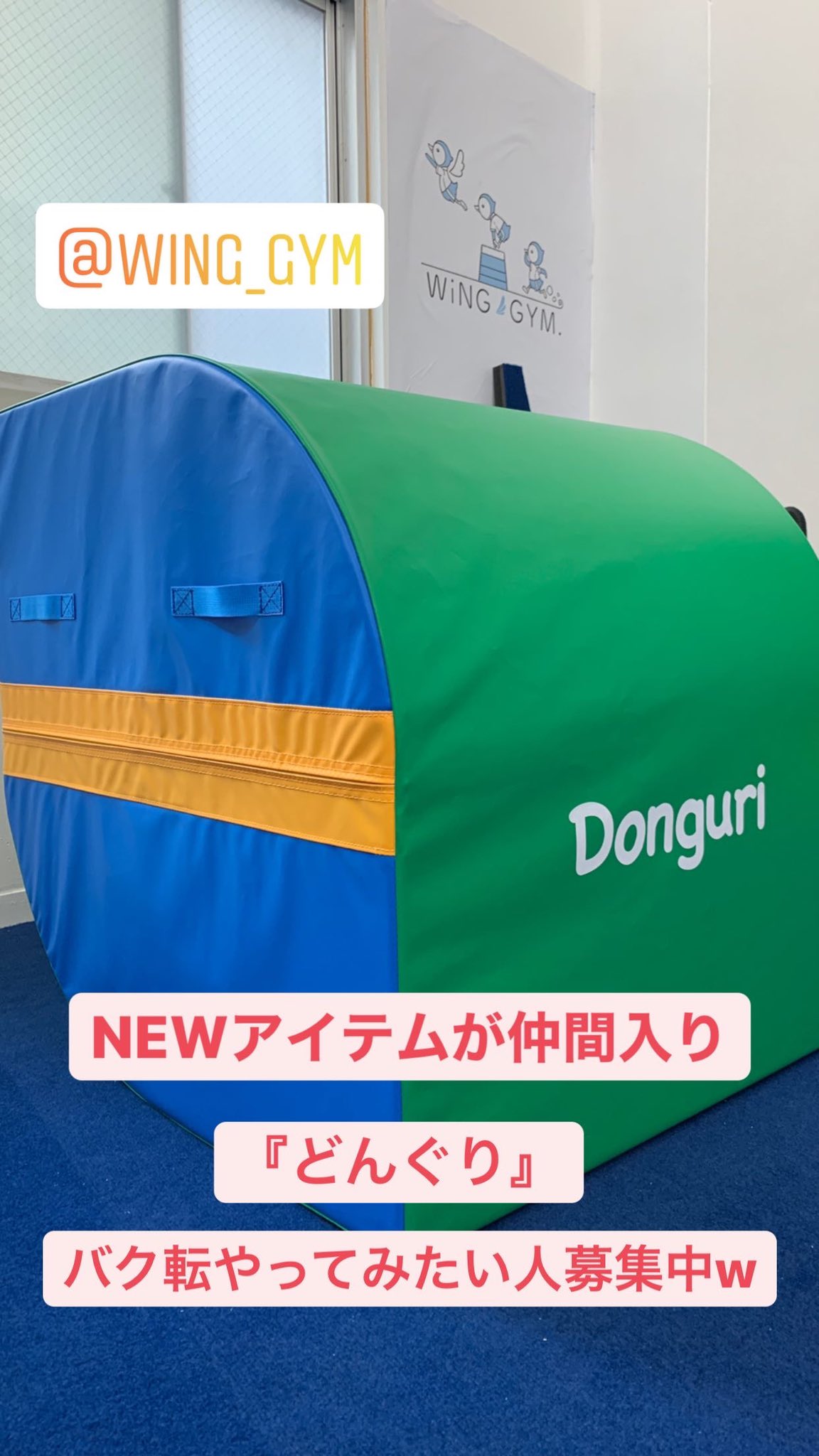 Wing Gym バク転したい人募集中です バク転 体操 アクロバット T Co Xe1z8x9ps9 Twitter Wing Gym バク転したい人募集中です バク転 体操 アクロバット T Co Xe1z8x9ps9 Twitter