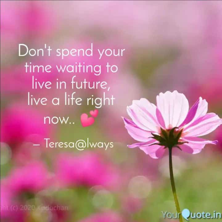 teresalways's tweet photo. "Don't wait for" #Motivationalquotes #dilquotes #inspirationalquotes#lifequotes#lovequotes#shayariquote#poetry #mohabbatquotes 
 
Read my thoughts on YourQuote app at https://t.co/slj7firuWY https://t.co/PhejDrAj90