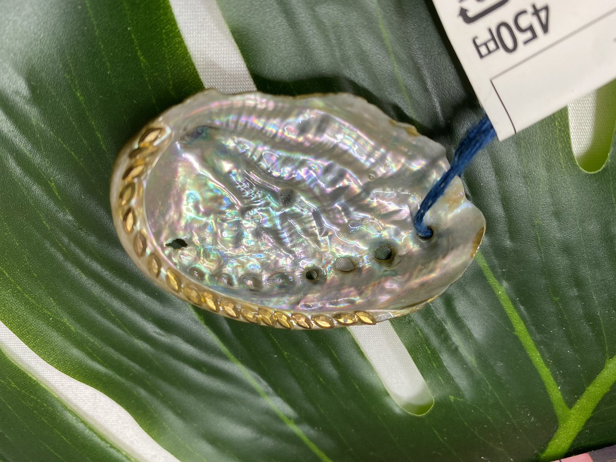 道の駅たろう あわびの貝殻が使われたボールペン イアリング ピアス 貝殻の小物入れ ストラップなど 産直とれたろうにて販売しております アワビは縁起物でもあり 魔除けや 伝染病から身を守る効果があると言われたり 病気平癒 長寿祈願にも