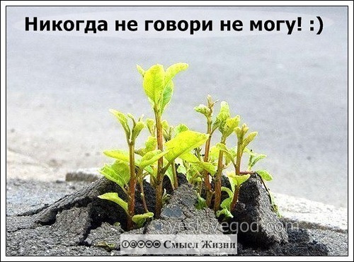 Life15687815's tweet photo. У тебя всё получится, ты главное не останавливайся! #упорство https://t.co/frDqt08X5C