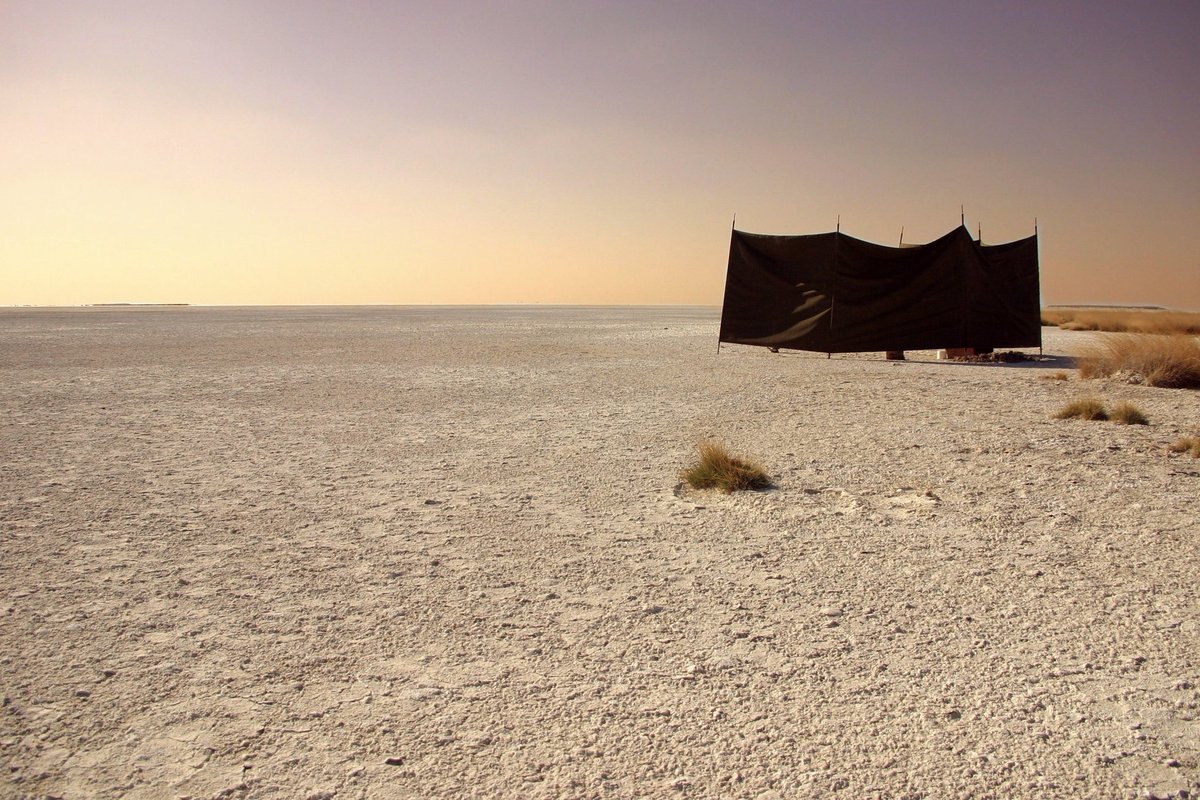 StrayATW's tweet photo. The most remote toilet in the world...
#makgadikgadi #botswana #adventure #outdoors #outdoor #optoutside https://t.co/0hSfLdVfYS
