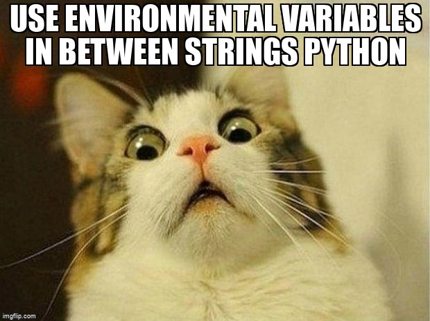 overflow_meme's tweet image. use environmental variables in between strings python stackoverflow.com/questions/6524… #stringformatting #python #python3x #environmentvariables #string