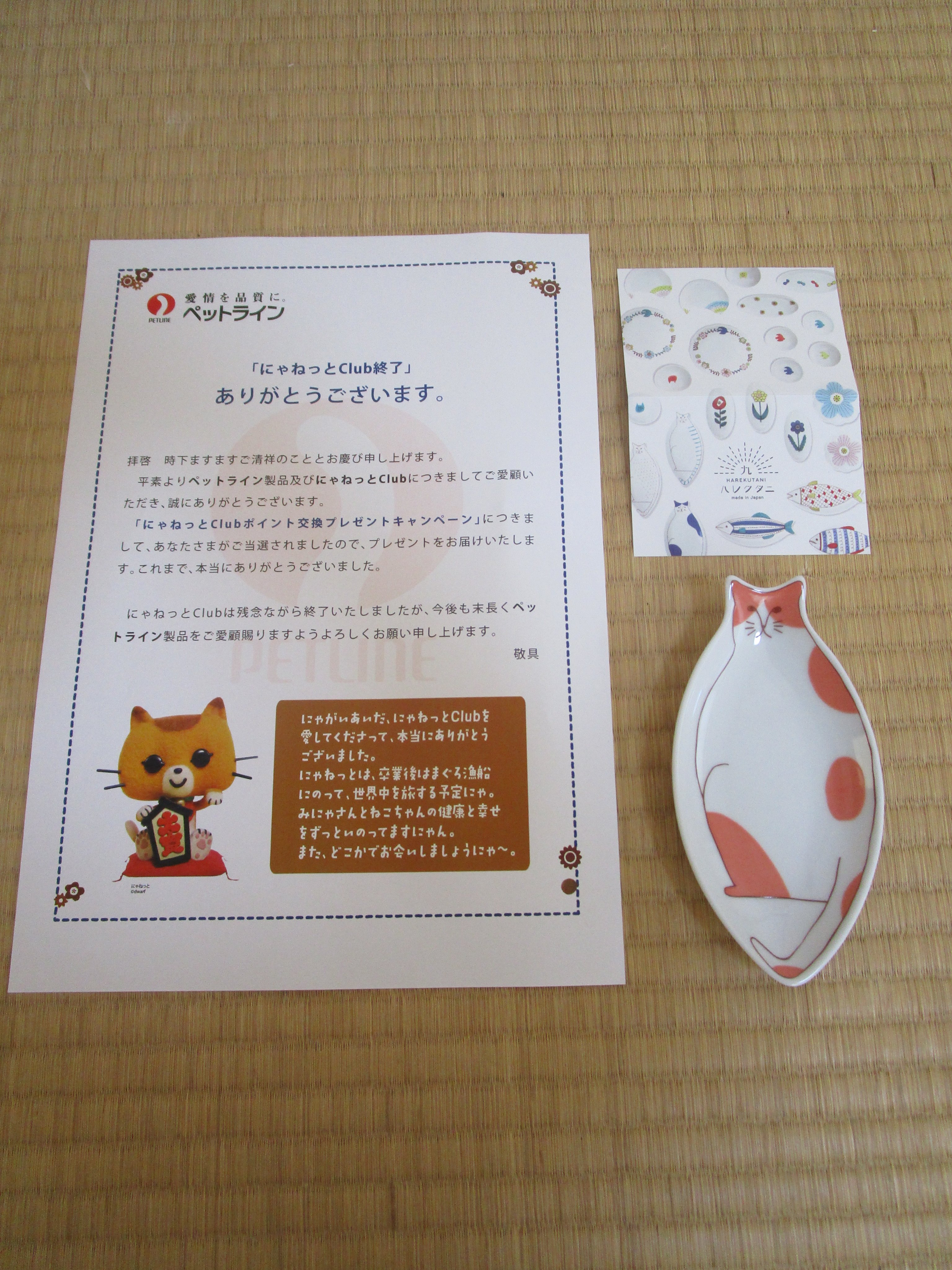 Sirasu En Twitter ペットラインがやってた にゃねっとclub というサイトの卒業キャンペーンで にゃねっと ちゃんのブローチ メディファスが当たったニャヾ O O ﾉﾜｧｰｨ にゃねっとちゃんのブローチが欲しくてウチの子が8歳なのに確率が高そうな11歳からの方も
