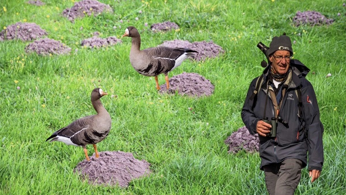 In the same  #BTOConf20 session, we learned about  @_AndyClements’ biggest birding fail: he once mistook a group of molehills for Greenland White-fronted Geese! What’s yours?
