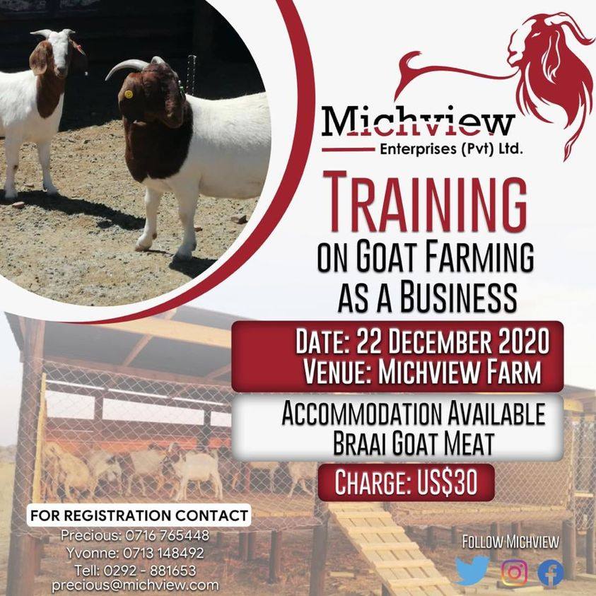 Join us on our last training of the year on Goat Farming as a Business...22 December 2020...For more information contact 0713 148 492 or 0716 765 448 <a href="/ZAGPGoats_Pigs/">VALUE Consortium</a> <a href="/zakis_zagp/">ZAKIS_ZAGP</a> <a href="/michview/">Lindani Ncube</a> <a href="/newtoncharig/">Newton Chari</a> <a href="/pmsagonda/">Phineas Sagonda</a>  @Yvstom_M <a href="/PMafira/">PRECIOUS MAFIRA</a>