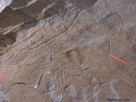 The main figure of the group is an almost complete engraved horse of great dimensions, with a small head compared to the rest of the figure, a “bec du canard” snout and a very pronounced belly line. 