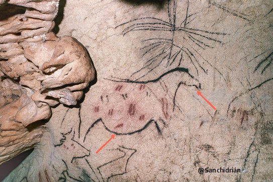 Characteristics that remind us of the representations of other Andalusian caves with Paleolithic rock art, such as the bulging-bellied horse in the Cueva de la Pileta (Benaoján, Málaga).  #ParecidosRazonables  #ReasonableSimilarities