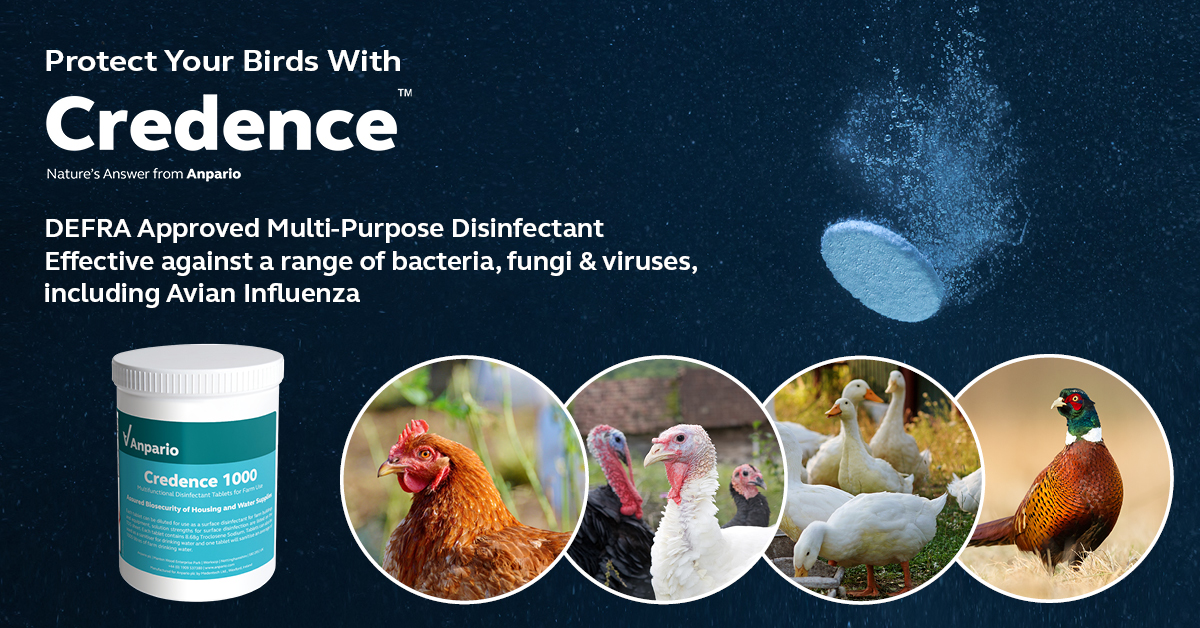 As #poultrykeepers in UK prepare for new housing measures, we're here to strengthen #biosecurity on #farm & backyard

#Credence is #DEFRA approved #disinfectant:
👍 Effective against #AI
👍 For surfaces, equipment, vehicles, animal housing

More: anpario.com/portfolio/hygi…

#Anpario