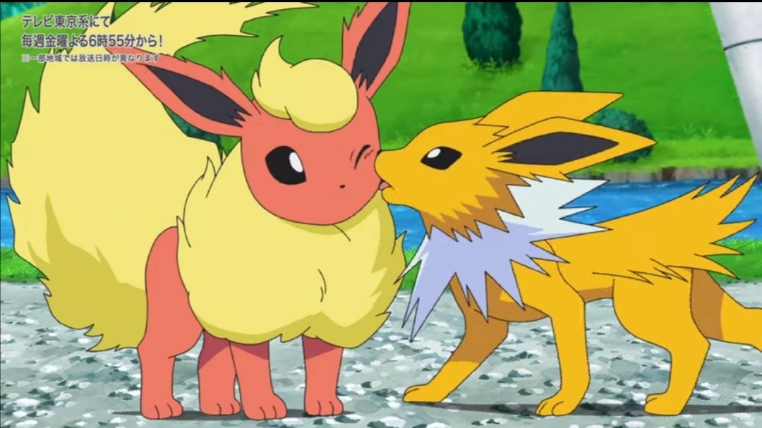 稲糸 時々唐突に始まるポケモン同士がいちゃいちゃし始めるのくそすき Anipoke アニポケ 稲糸 時々唐突に始まるポケモン同士がいちゃいちゃし始めるのくそすき Anipoke アニポケ