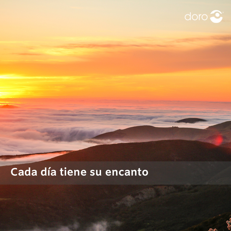 Doro España tweet media