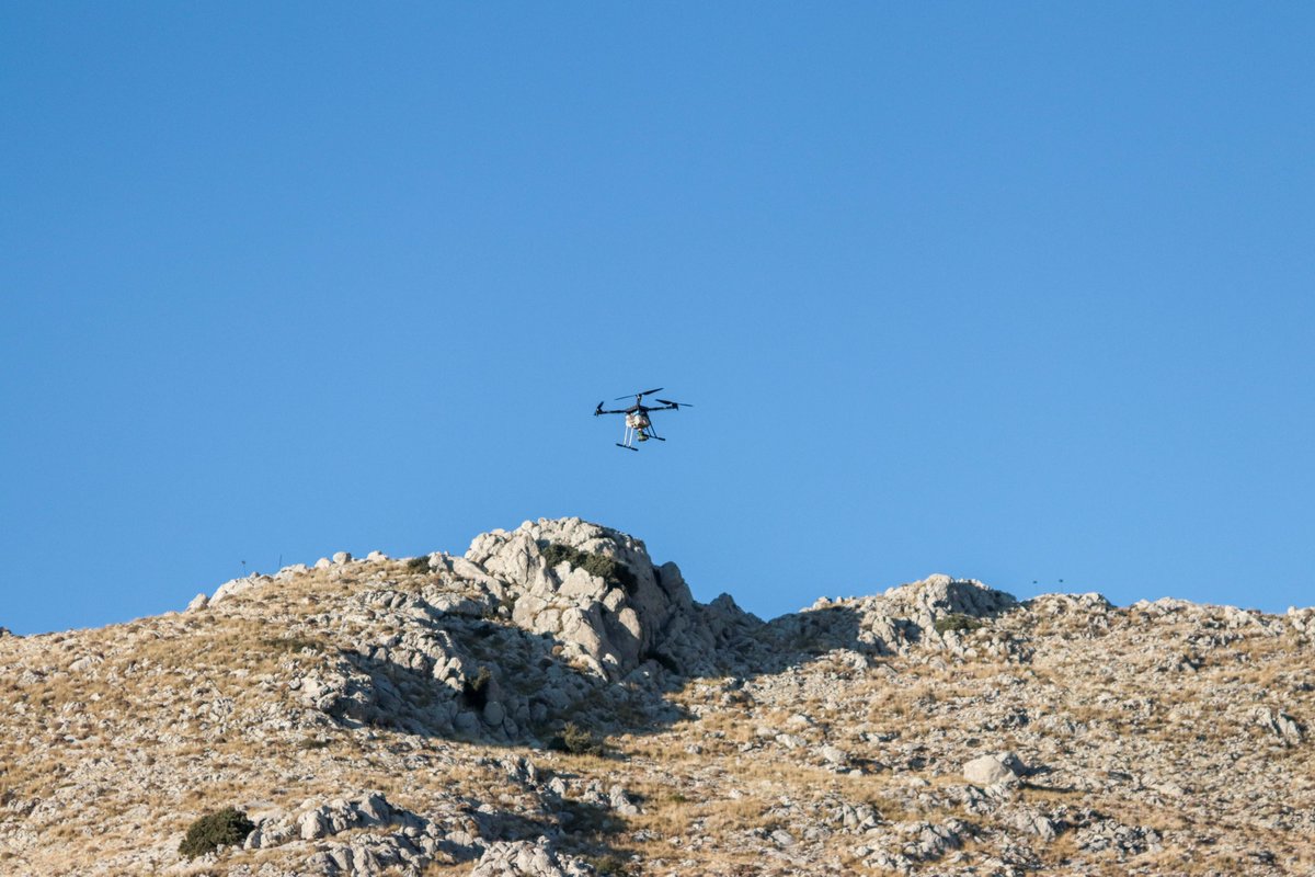 ecosia's tweet photo. We’ve been testing out drone planting in Spain! We tend to favour tree planting done at a human scale, and we always make sure that we’re not just dropping seeds left and right. That being said, in specific contexts, technology like drones allows to test out new approaches. 🌱 https://t.co/jE6QuHxmoF