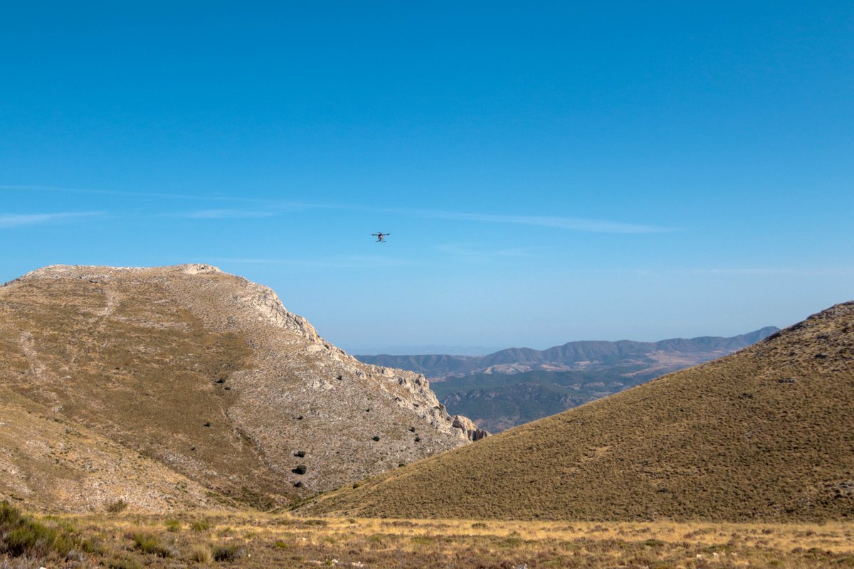 ecosia's tweet photo. We’ve been testing out drone planting in Spain! We tend to favour tree planting done at a human scale, and we always make sure that we’re not just dropping seeds left and right. That being said, in specific contexts, technology like drones allows to test out new approaches. 🌱 https://t.co/jE6QuHxmoF