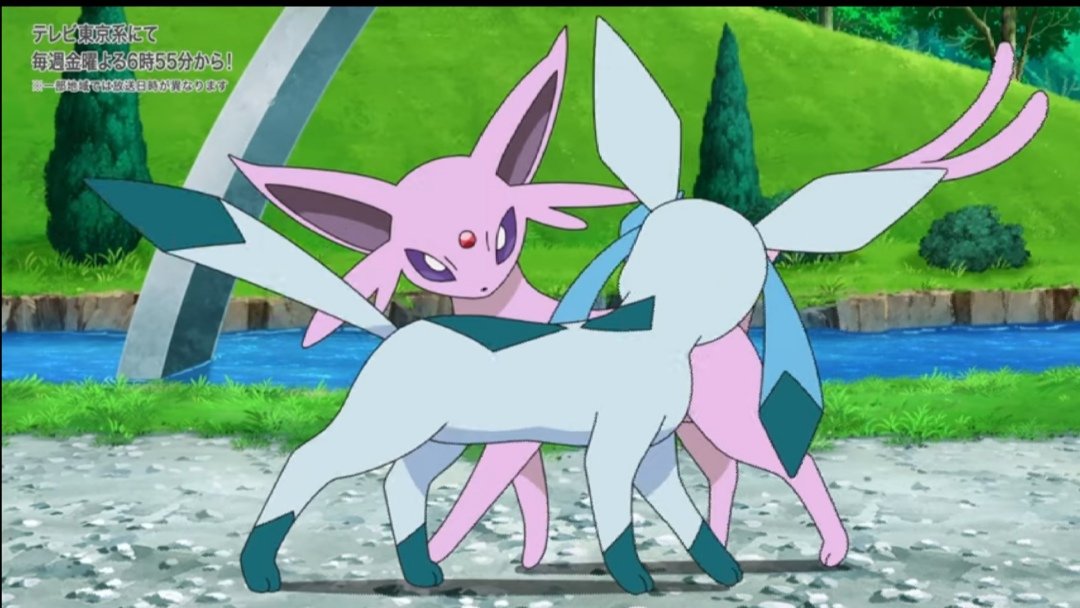 エーフィブースター サンダース グレイシア あじさい様