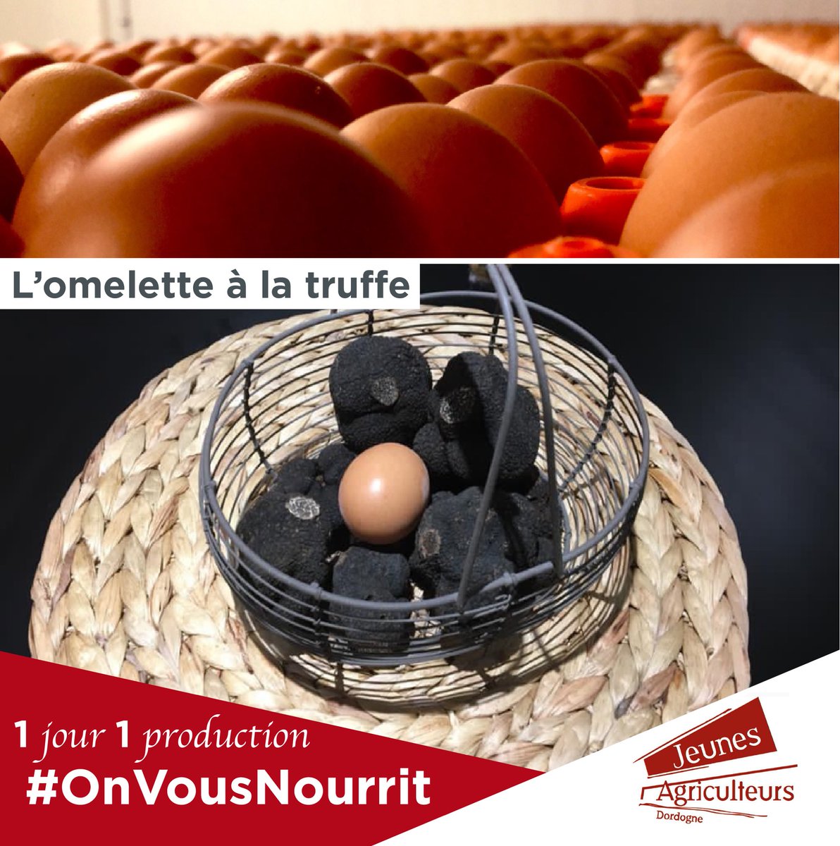 JeunesAgriculteurs24 tweet media