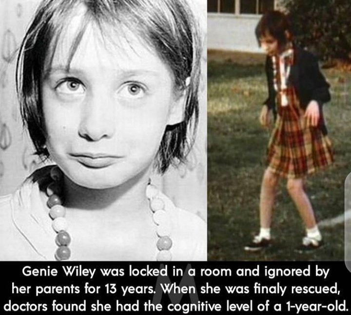 A THREAD OF SOME WEIRD HISTORICAL FACTS YOU DONT KNOW ABOUT.RT FOR OTHERS TO SEE